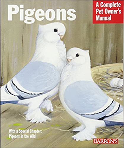 Pigeon Book for Beginners